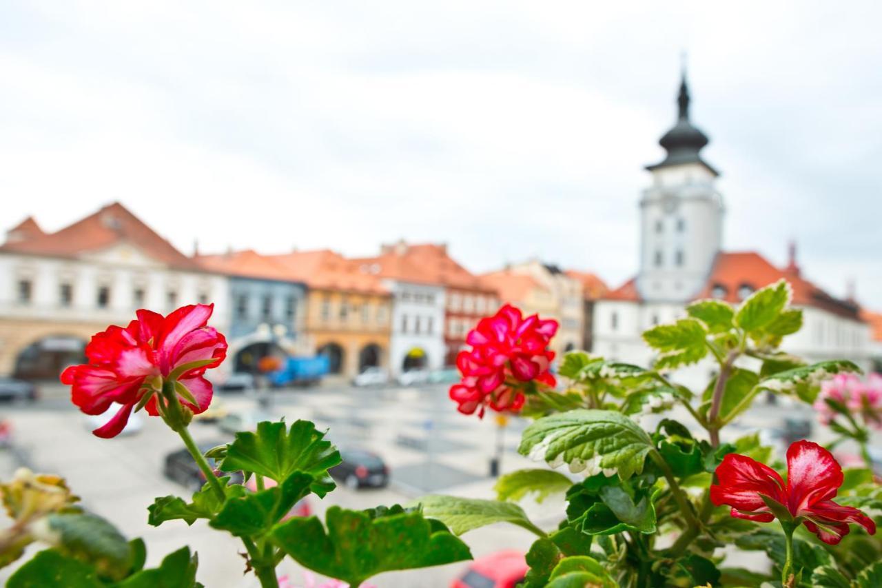 Hotel U Hada Zatec Žatec Exterior foto